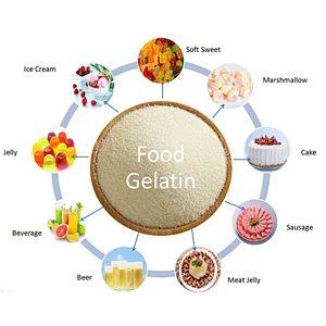 Hot sale food grade gelatin powder for food beverage