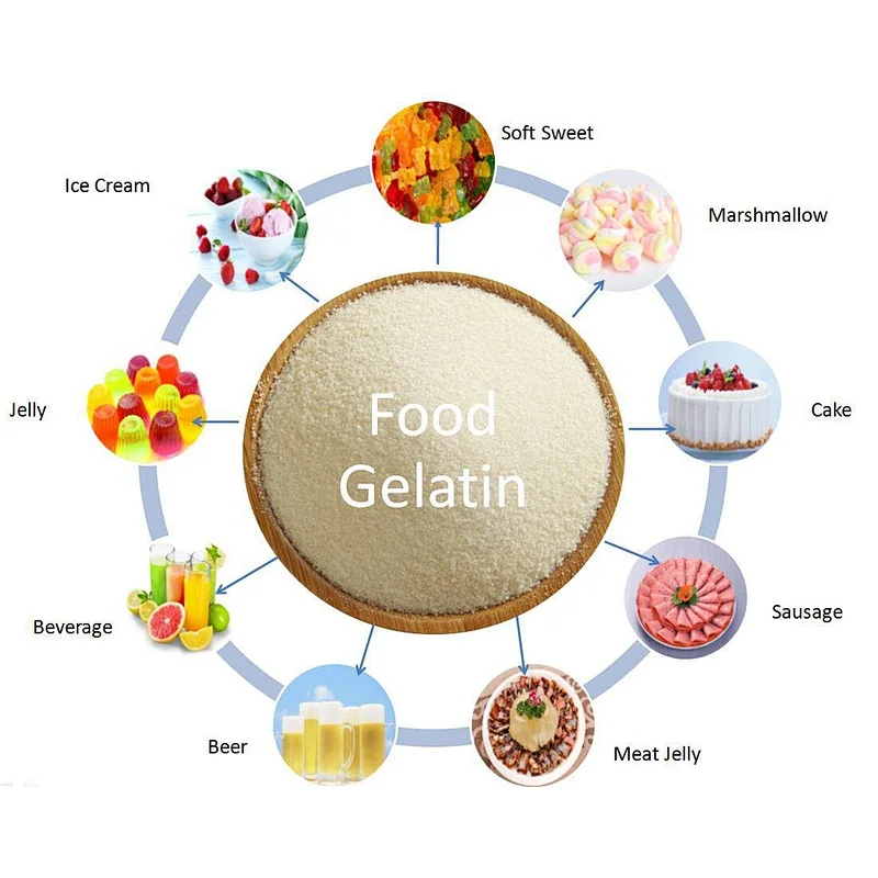 Hot sale food grade gelatin powder for food beverage
